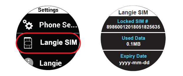 Langie sim-kortti