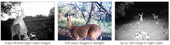 Swan Outback Cam infrapunalla